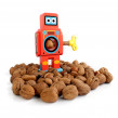 Nötknäckare Robot